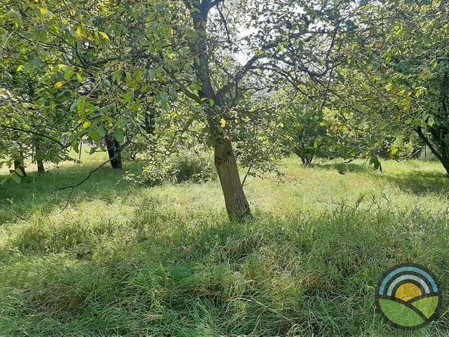 Działka budowlana 1800m2 w Zabierzowie k/Krakowa