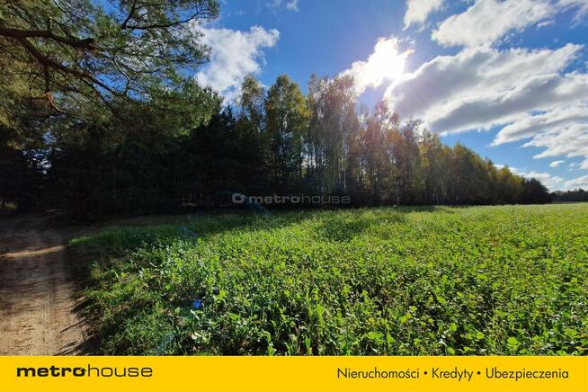 Las 13ha, duży areał w jednym kawałku - Klonownica