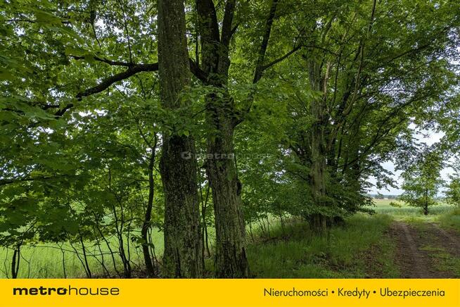 Zabytkowy Park Pałacowy/Dworski z XIX w. - 7.27ha