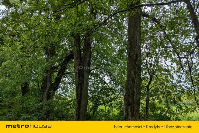 Zabytkowy Park Pałacowy/Dworski z XIX w. - 7.27ha