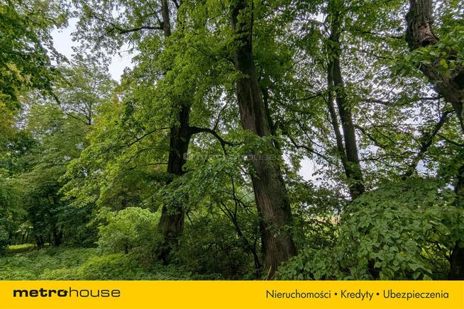 Zabytkowy Park Pałacowy/Dworski z XIX w. - 7.27ha