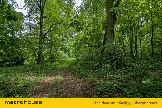 Zabytkowy Park Pałacowy/Dworski z XIX w. - 7.27ha