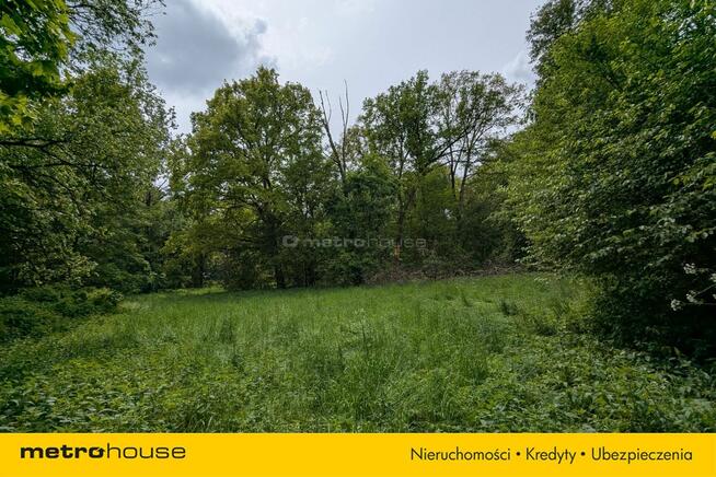 Zabytkowy Park Pałacowy/Dworski z XIX w. - 7.27ha