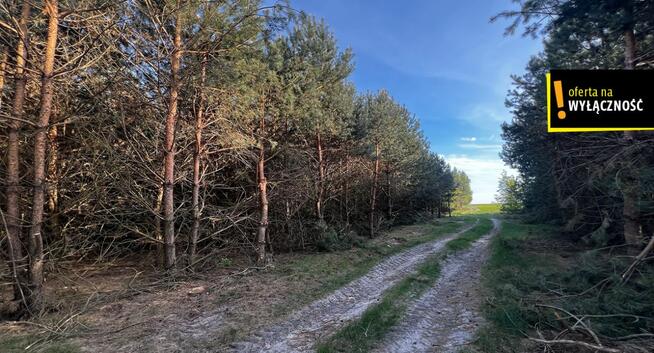 Działka rolna Deszno gm. Nagłowice,