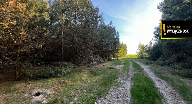 Działka rolna Deszno gm. Nagłowice,