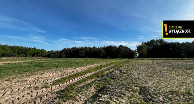 Działka rolna Deszno gm. Nagłowice,