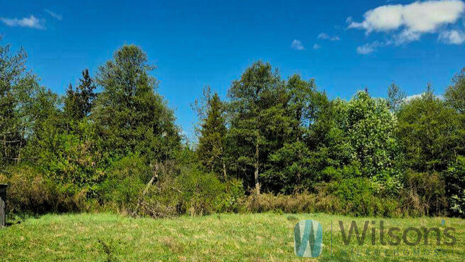 Działka siedliskowa Zambski Kościelne gm. Obryte,