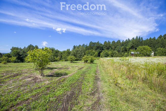 Działka budowlana Hadle Kańczuckie 33,31 ar