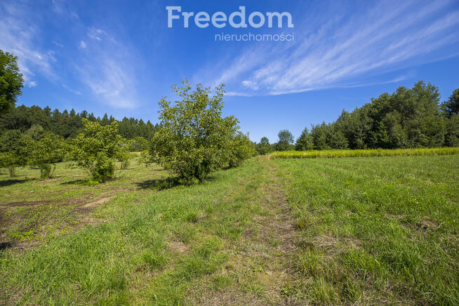 Działka budowlana Hadle Kańczuckie 33,31 ar