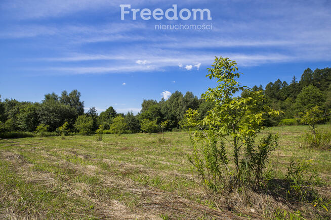 Działka budowlana Hadle Kańczuckie 33,31 ar