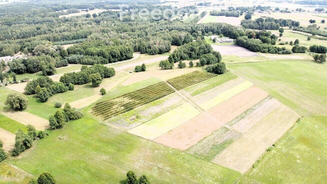 Kompleks gruntów 4,74 ha w gm. Kazanów