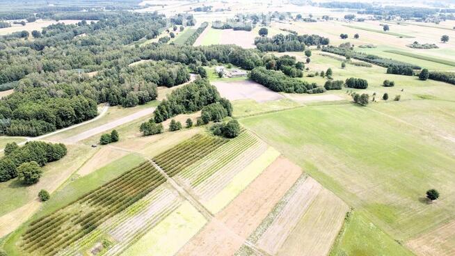 Kompleks gruntów 4,74 ha w gm. Kazanów