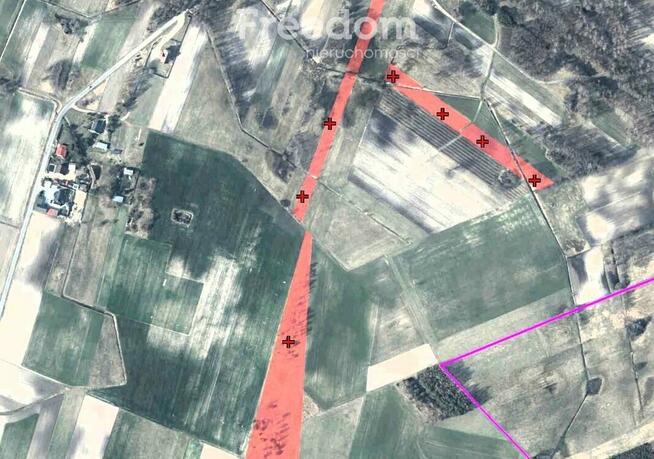 Kompleks gruntów 4,74 ha w gm. Kazanów