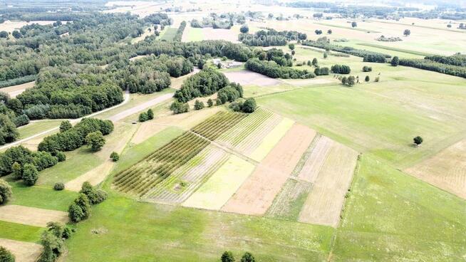 Kompleks gruntów 4,74 ha w gm. Kazanów