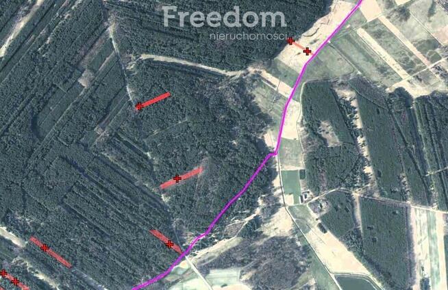 Kompleks gruntów 4,74 ha w gm. Kazanów