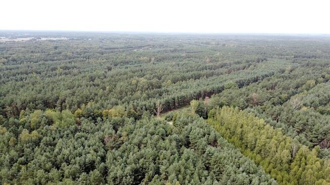 Kompleks gruntów 4,74 ha w gm. Kazanów