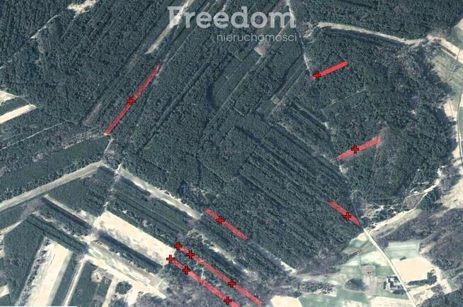 Kompleks gruntów 4,74 ha w gm. Kazanów