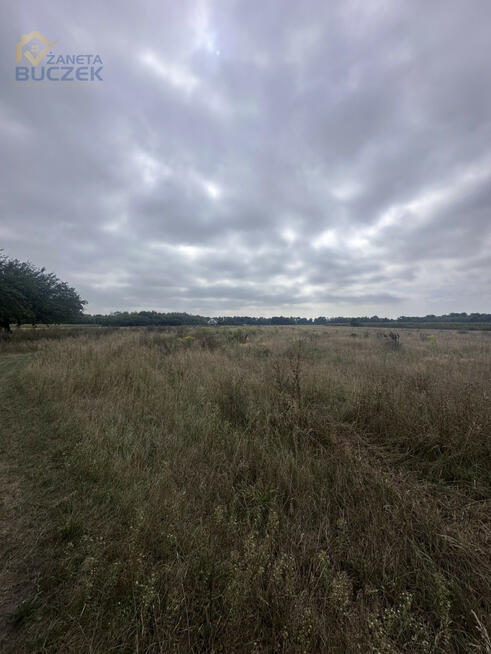 Działka siedliskowa Pasikonie gm. Kampinos,