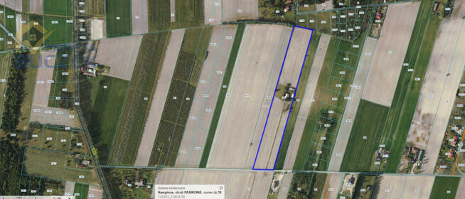 Działka siedliskowa Pasikonie gm. Kampinos,