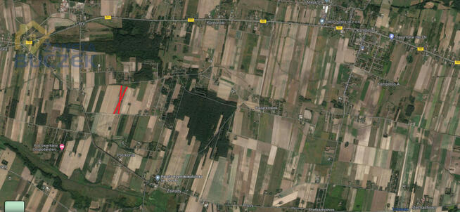 Działka siedliskowa Pasikonie gm. Kampinos,