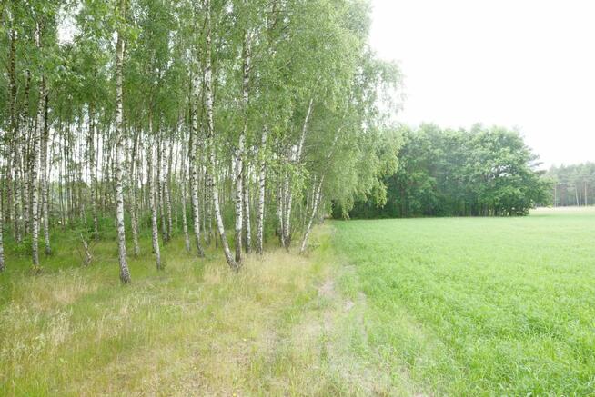 Działka Wólka Smolana gm. Brochów,