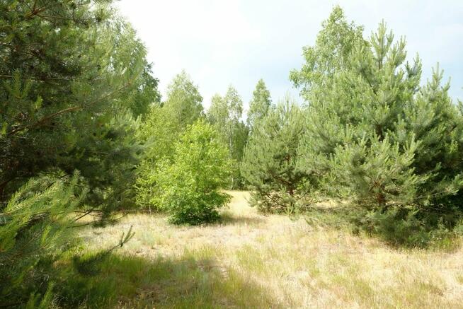 Działka Wólka Smolana gm. Brochów,