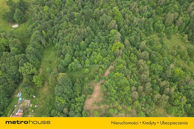 Działki w Karkonoszach.