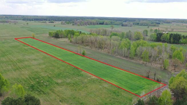 Działka rolno-budowlana Cieciory gm. Turośl