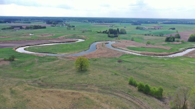 Działka rolno-budowlana Cieciory gm. Turośl