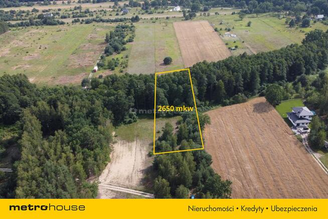 Działka w Nowej Wsi, blisko rzeki Bug i Narew.