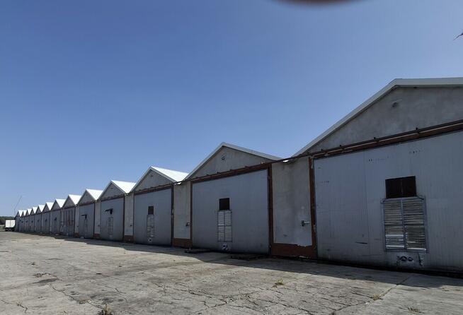 Nieruchomość po pieczarkarni/ Strusy/ Paprotnia