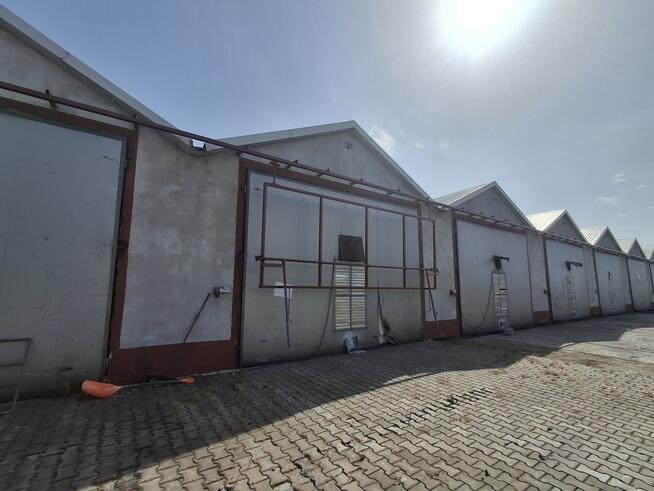 Nieruchomość po pieczarkarni/ Strusy/ Paprotnia