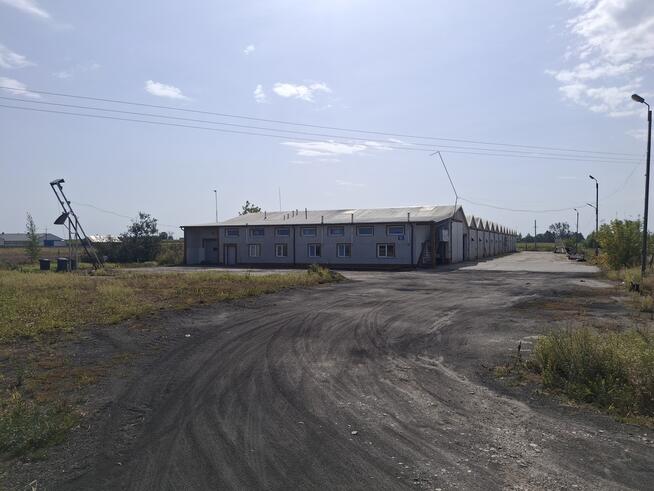 Nieruchomość po pieczarkarni/ Strusy/ Paprotnia