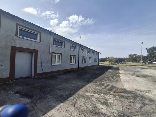 Nieruchomość po pieczarkarni/ Strusy/ Paprotnia