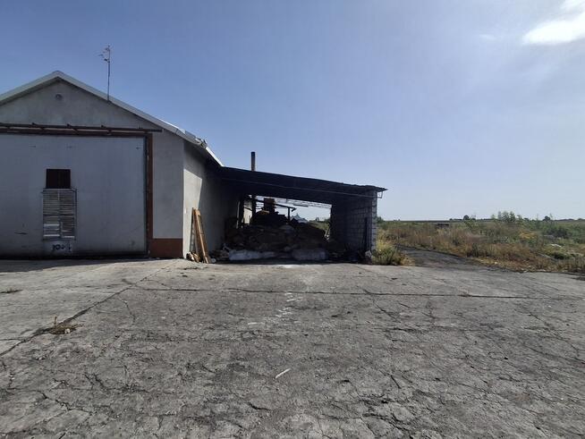 Nieruchomość po pieczarkarni/ Strusy/ Paprotnia