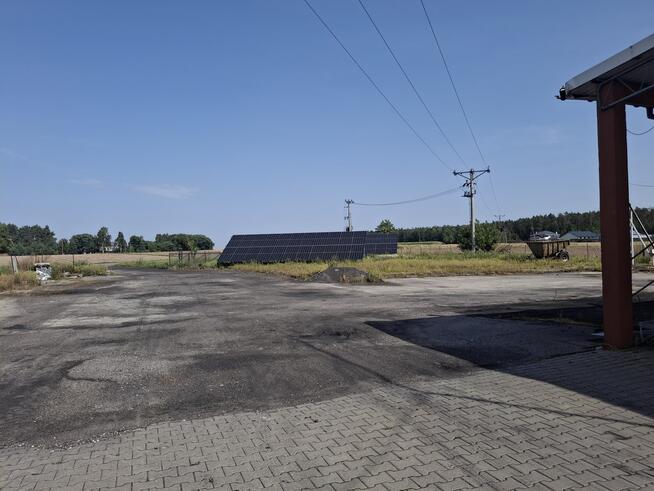 Nieruchomość po pieczarkarni/ Strusy/ Paprotnia
