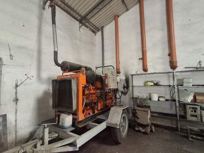 Nieruchomość po pieczarkarni/ Strusy/ Paprotnia