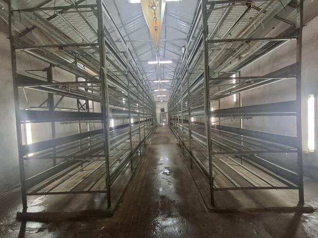 Nieruchomość po pieczarkarni/ Strusy/ Paprotnia