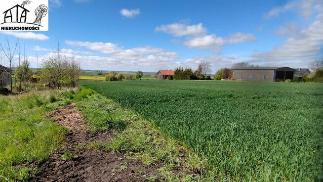 Działka budowlana Różyny gm. Pszczółki, Gdańska