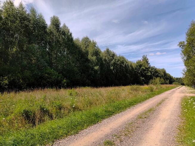 Działka budowlana Borkowice gm. Dłutów,