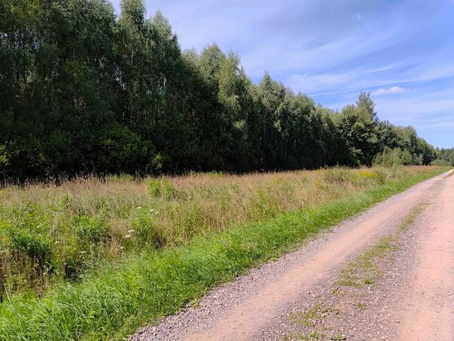 Działka budowlana Borkowice gm. Dłutów,