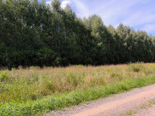 Działka budowlana Borkowice gm. Dłutów,