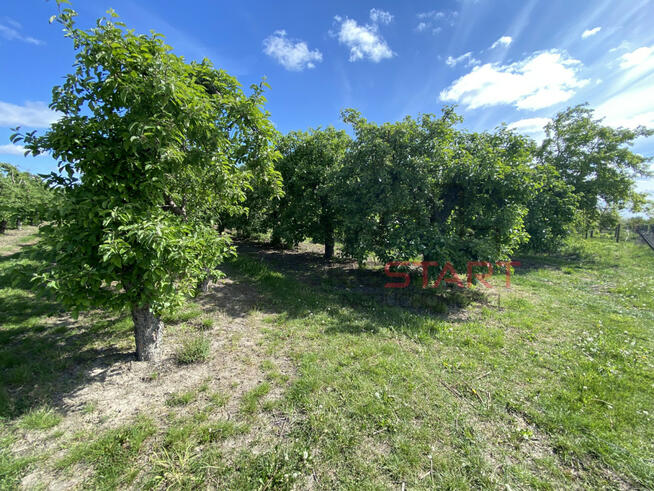 Działka budowlana Michrów gm. Pniewy,