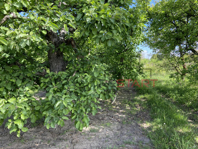 Działka budowlana Michrów gm. Pniewy,