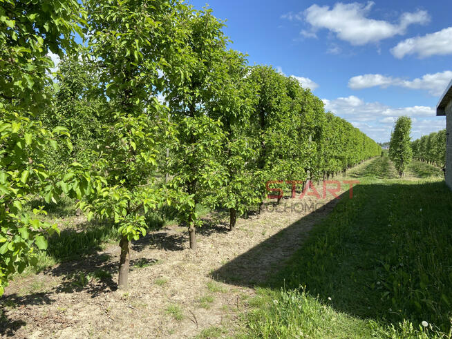 Działka budowlana Michrów gm. Pniewy,