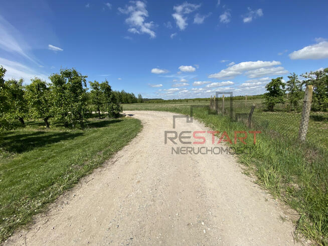 Działka budowlana Michrów gm. Pniewy,