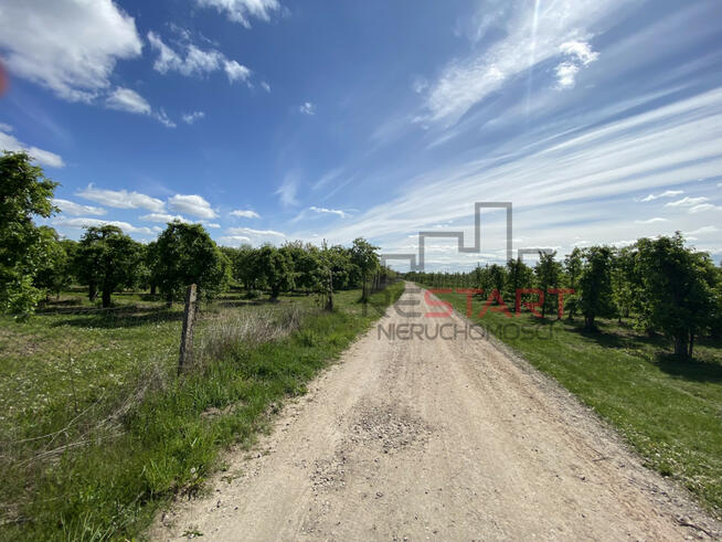 Działka budowlana Michrów gm. Pniewy,