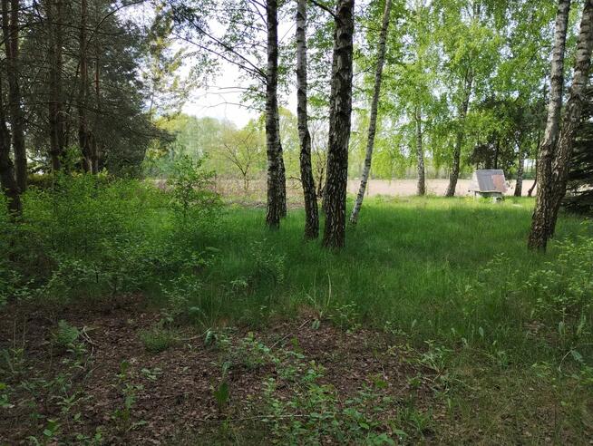 Atrakcyjna działka blisko Łodzi z WZ