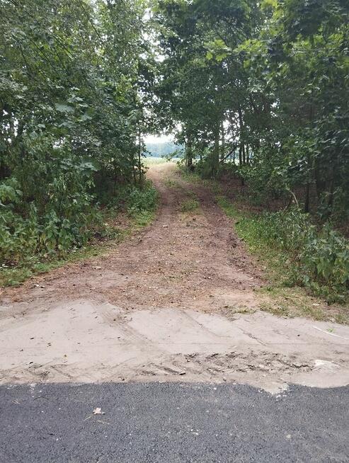 sprzedam działkę 2,80ha w miejscowości Chotynia