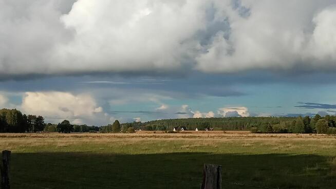 Sprzedam działkę Jesionowiec koło Wielbarka